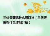 三伏天要吃什么可以补（三伏天要吃什么详细介绍）