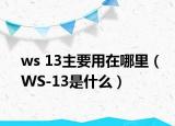 ws 13主要用在哪里（WS-13是什么）