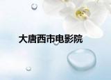 大唐西市电影院