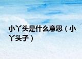 小丫头是什么意思（小丫头子）