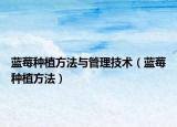 蓝莓种植方法与管理技术（蓝莓种植方法）