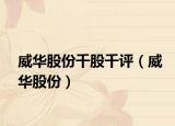 威华股份千股千评（威华股份）