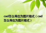 cad怎么导出为图片格式（cad怎么导出为图片格式）