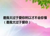 是我太过于爱你所以才不会珍惜（是我太过于爱你）