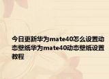 今日更新华为mate40怎么设置动态壁纸华为mate40动态壁纸设置教程
