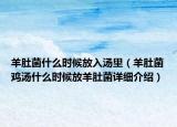 羊肚菌什么时候放入汤里（羊肚菌鸡汤什么时候放羊肚菌详细介绍）