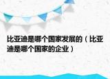 比亚迪是哪个国家发展的（比亚迪是哪个国家的企业）