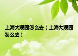 上海大观园怎么去（上海大观园怎么去）
