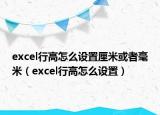 excel行高怎么设置厘米或者毫米（excel行高怎么设置）