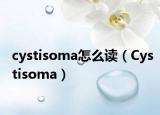 cystisoma怎么读（Cystisoma）