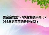 男宝宝发型1-3岁潮发额头高（2016年男宝宝的各种发型）