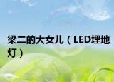 梁二的大女儿（LED埋地灯）