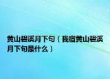 黄山碧溪月下句（我宿黄山碧溪月下句是什么）