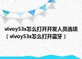 vivoy53s怎么打开开发人员选项（vivoy53s怎么打开蓝牙）