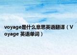 voyage是什么意思英语翻译（Voyage 英语单词）