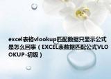 excel表格vlookup匹配数据只显示公式是怎么回事（EXCEL表数据匹配公式VLOOKUP-初级）