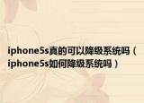 iphone5s真的可以降级系统吗（iphone5s如何降级系统吗）