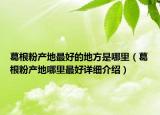 葛根粉产地最好的地方是哪里（葛根粉产地哪里最好详细介绍）