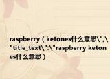 raspberry（ketones什么意思