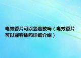 电蚊香片可以竖着放吗（电蚊香片可以竖着插吗详细介绍）