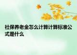 社保养老金怎么计算计算标准公式是什么