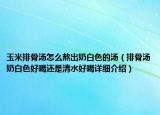 玉米排骨汤怎么熬出奶白色的汤（排骨汤奶白色好喝还是清水好喝详细介绍）