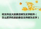 将文件量大的录音转为文字软件（怎么把手机里的录音文件转为文字）