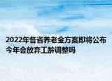 2022年各省养老金方案即将公布今年会放弃工龄调整吗