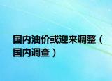 国内油价或迎来调整（国内调查）