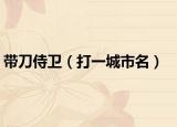 带刀侍卫（打一城市名）