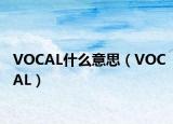 VOCAL什么意思（VOCAL）