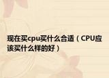 现在买cpu买什么合适（CPU应该买什么样的好）