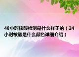 48小时核酸检测是什么样子的（24小时核酸是什么颜色详细介绍）