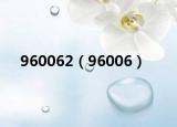 960062（96006）