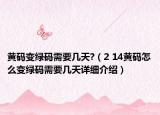 黄码变绿码需要几天?（2 14黄码怎么变绿码需要几天详细介绍）