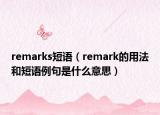 remarks短语（remark的用法和短语例句是什么意思）