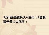 1万1音浪是多少人民币（1音浪等于多少人民币）