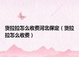 货拉拉怎么收费河北保定（货拉拉怎么收费）