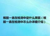 核酸一直在检测中是什么原因（核酸一直在检测中怎么办详细介绍）