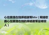 心在跳情在烧原唱谢军ktv（网络歌曲心在跳情在烧的原唱谢军是哪里人）