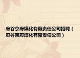 府谷京府煤化有限责任公司招聘（府谷京府煤化有限责任公司）
