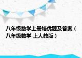 八年级数学上册培优题及答案（八年级数学 上人教版）