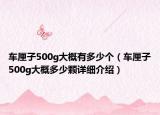 车厘子500g大概有多少个（车厘子500g大概多少颗详细介绍）
