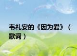 韦礼安的《因为爱》（歌词）