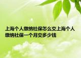上海个人缴纳社保怎么交上海个人缴纳社保一个月交多少钱