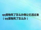 qq宠物死了怎么办想让它活过来（qq宠物死了怎么办）