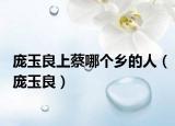 庞玉良上蔡哪个乡的人（庞玉良）