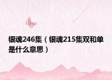 银魂246集（银魂215集双和单是什么意思）