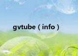gvtube（info）