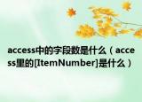 access中的字段数是什么（access里的[ItemNumber]是什么）